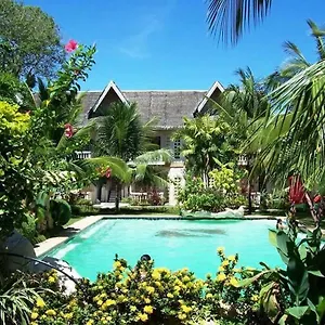 Bohol Divers Totolan